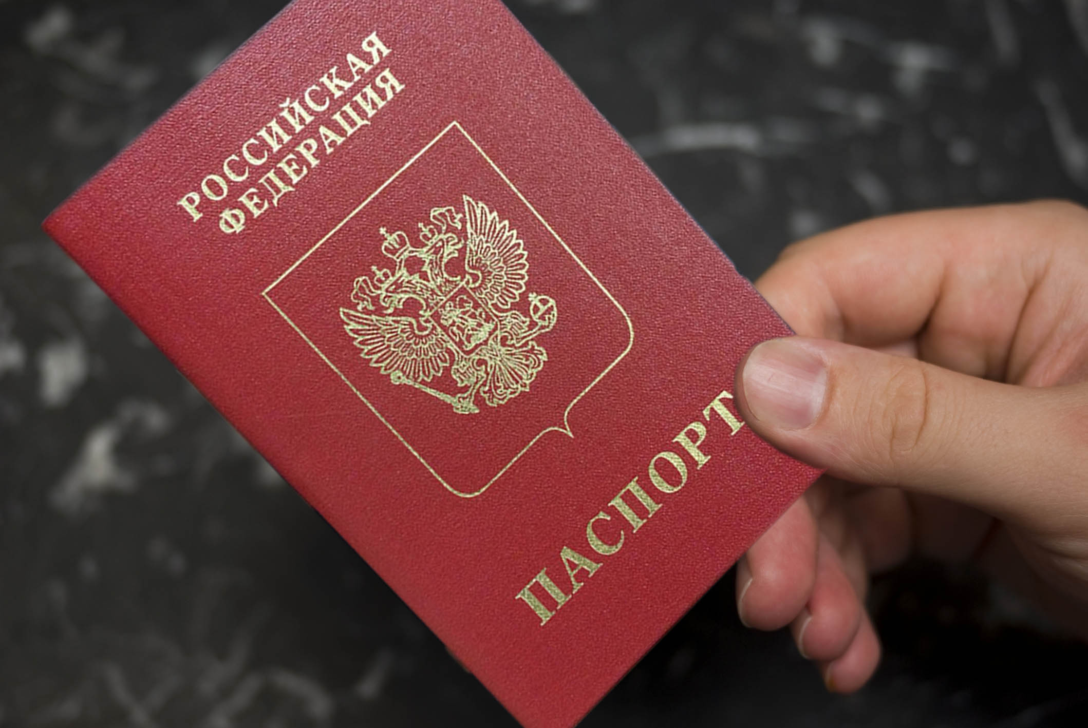 Проверка паспотра Проверка паспотра